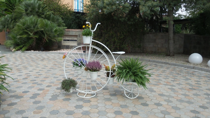 bicicleta girasoles